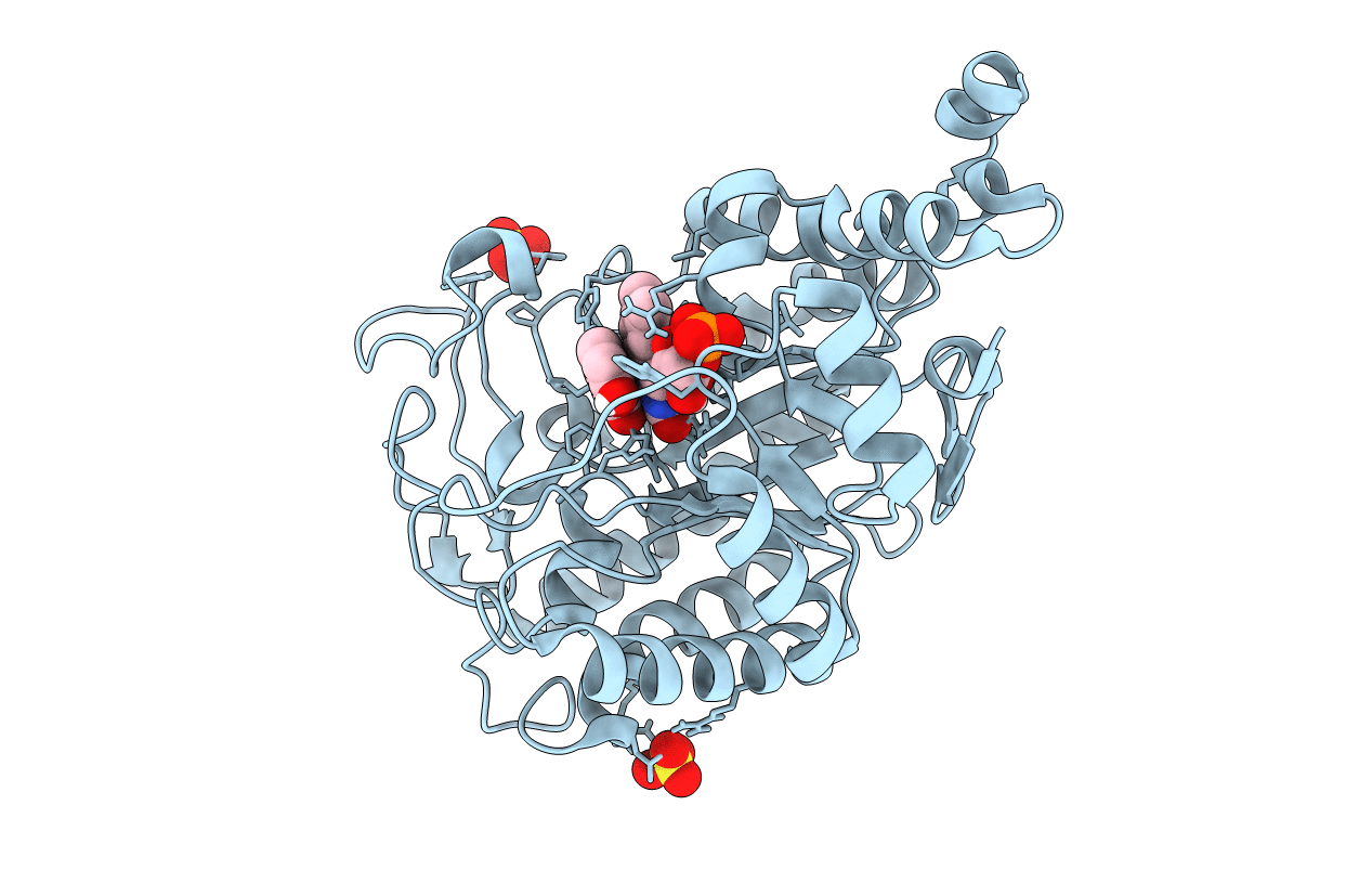 4UTM image