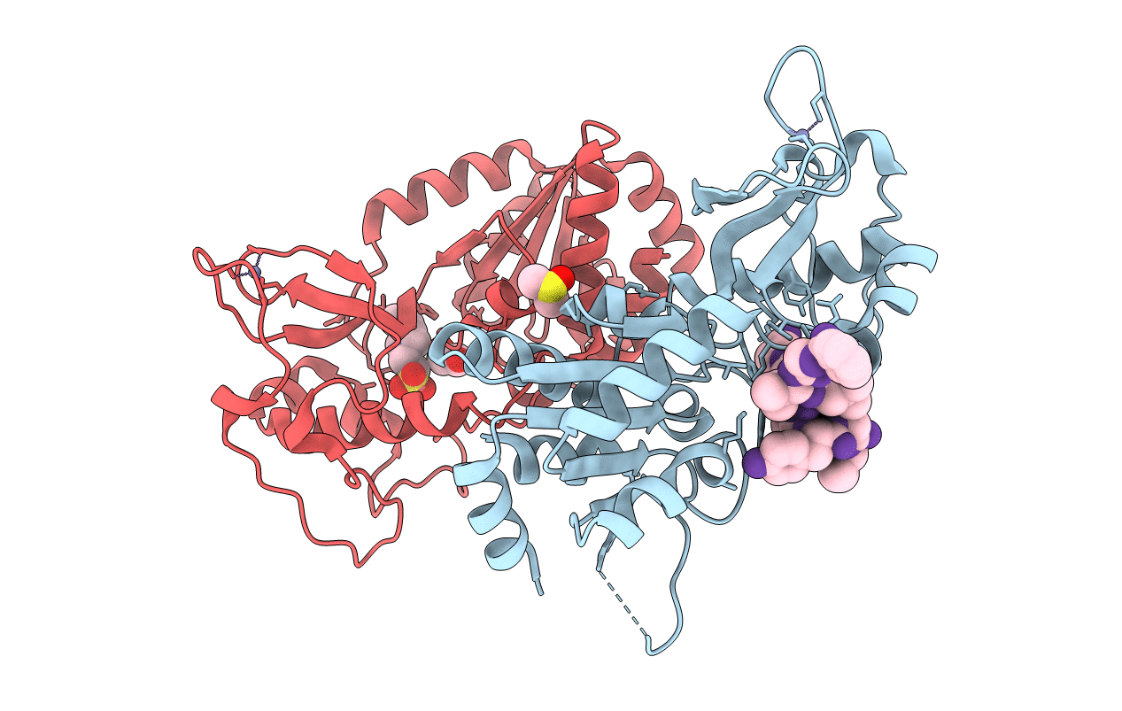 4UTN image