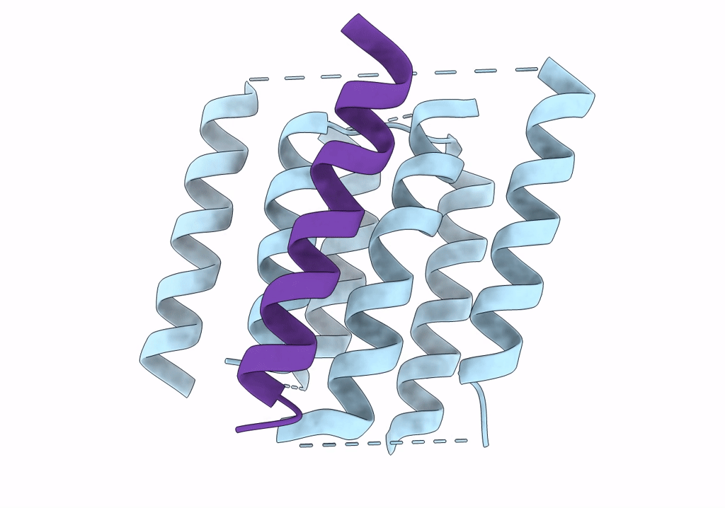 4UTQ image