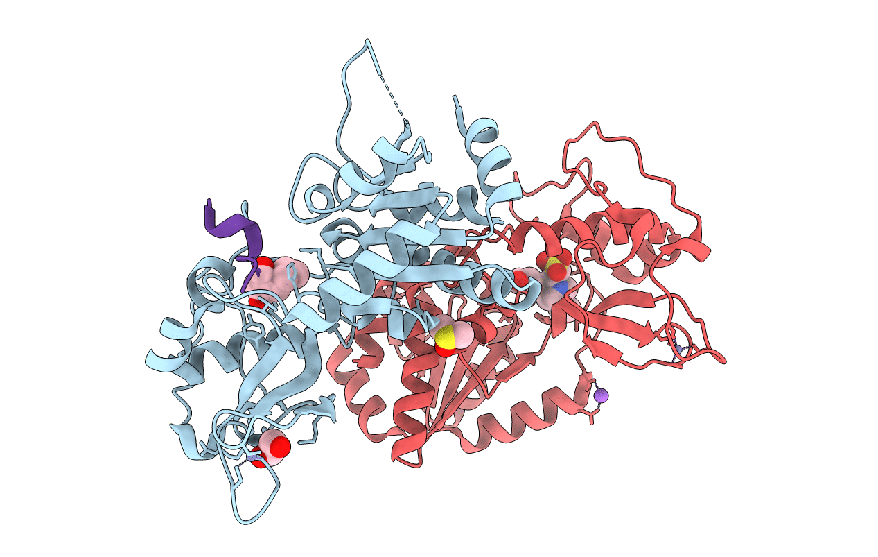 4UUB image