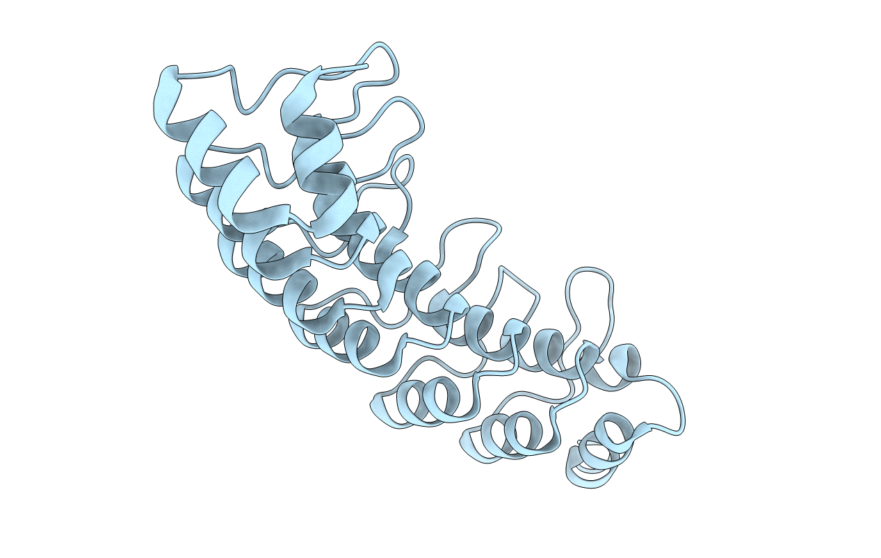 4UUC image