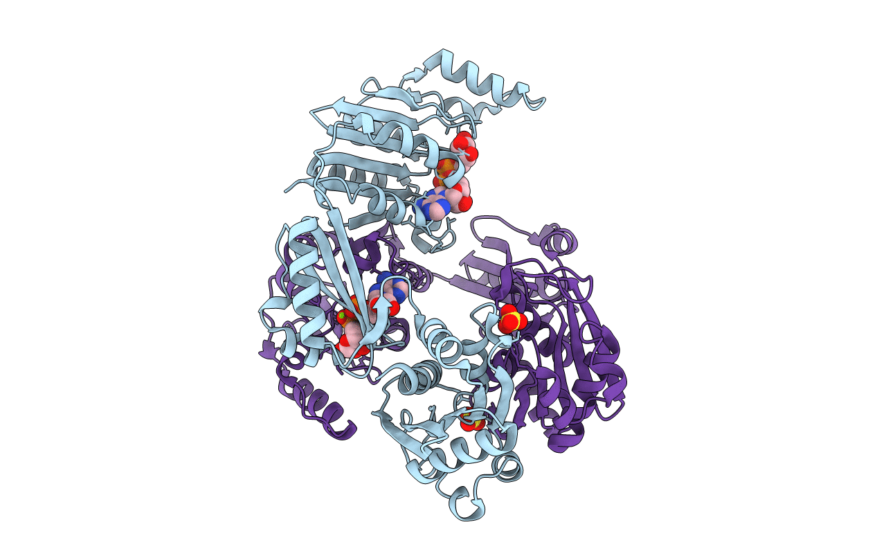 4UUX image