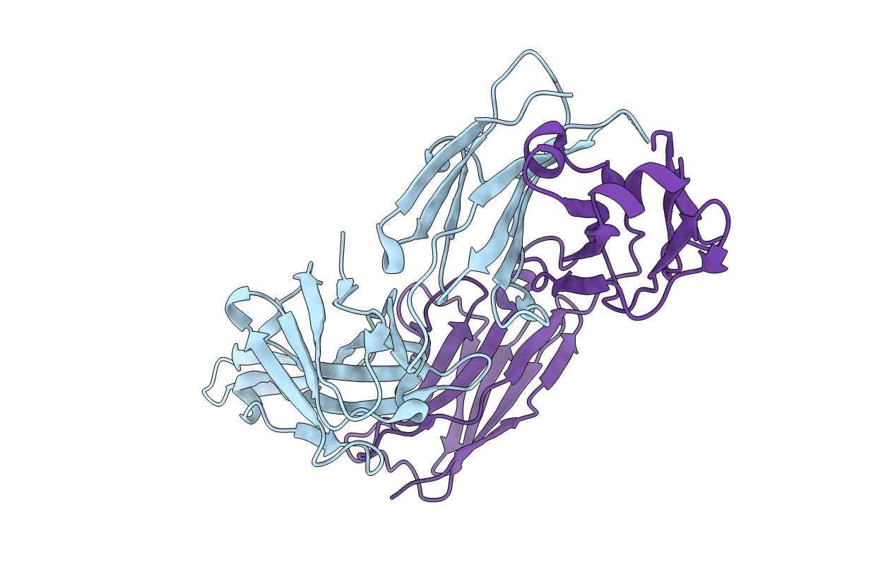 4UV4 image