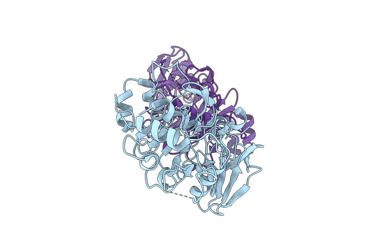 4UV6 image