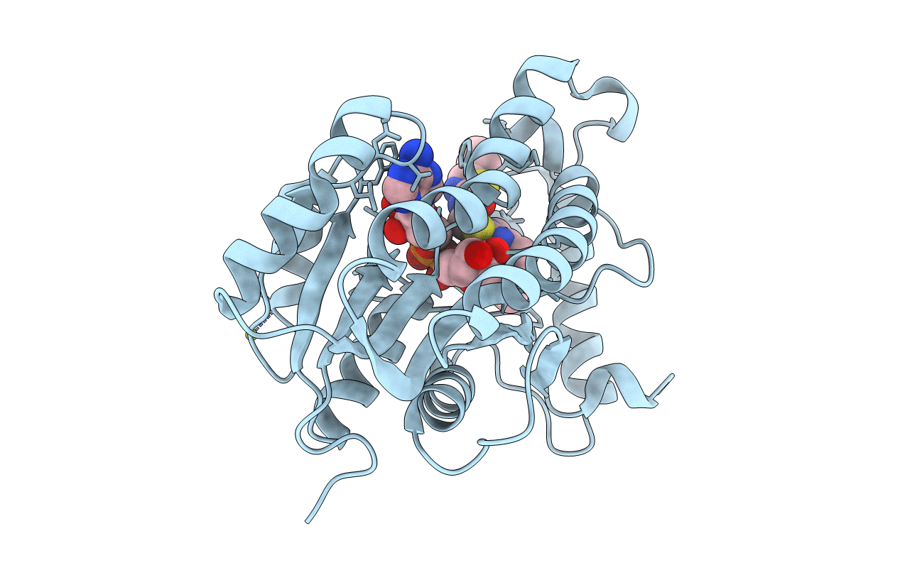 4UVD image
