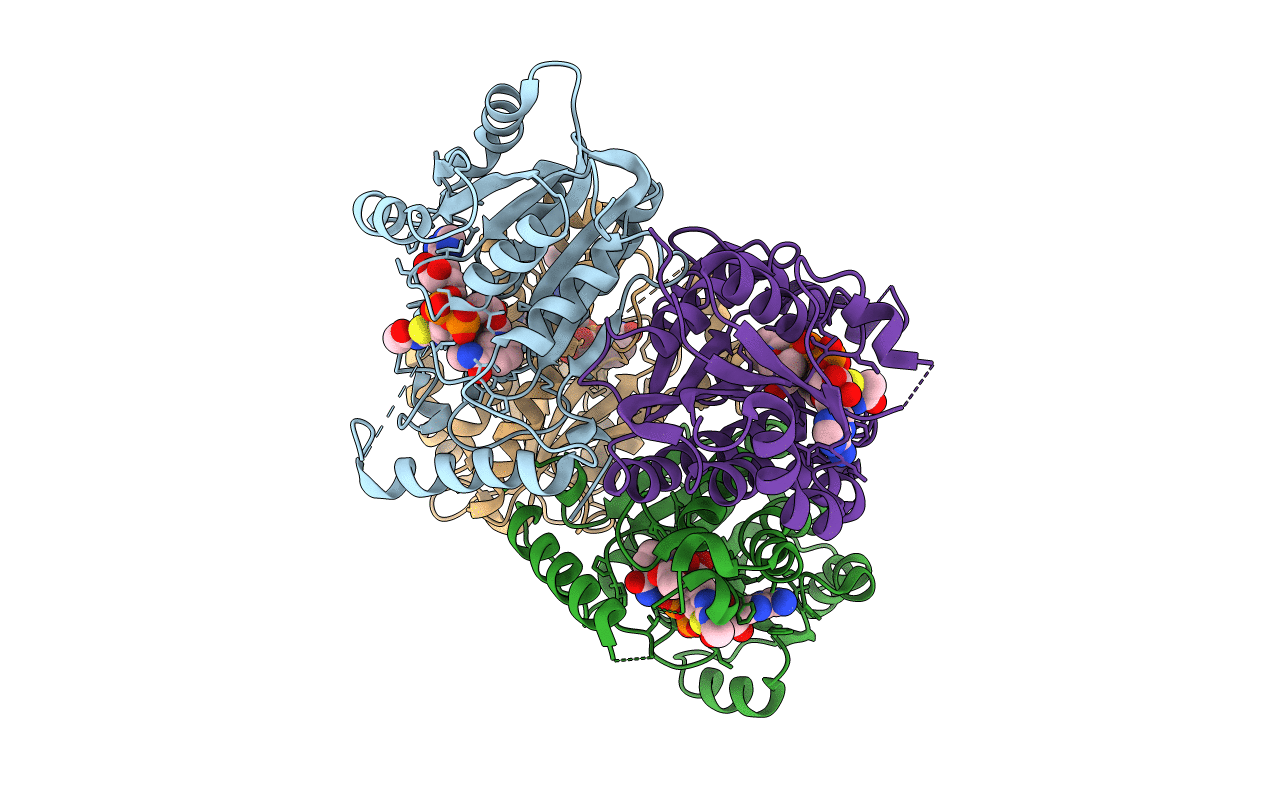 4UVH image