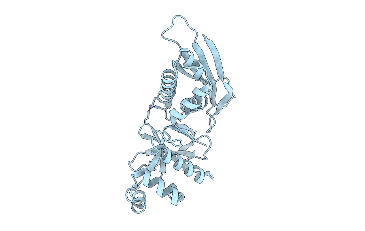 4UVQ image