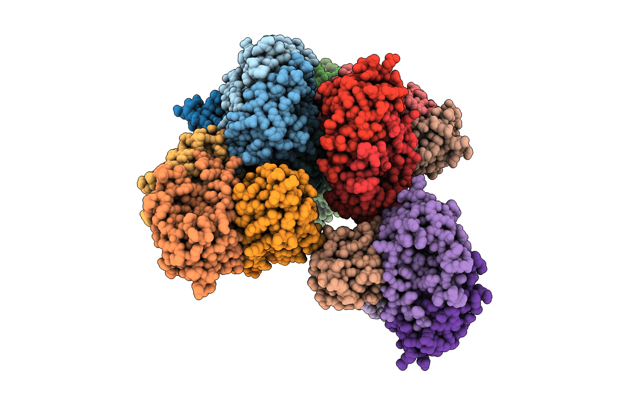 4UXA image