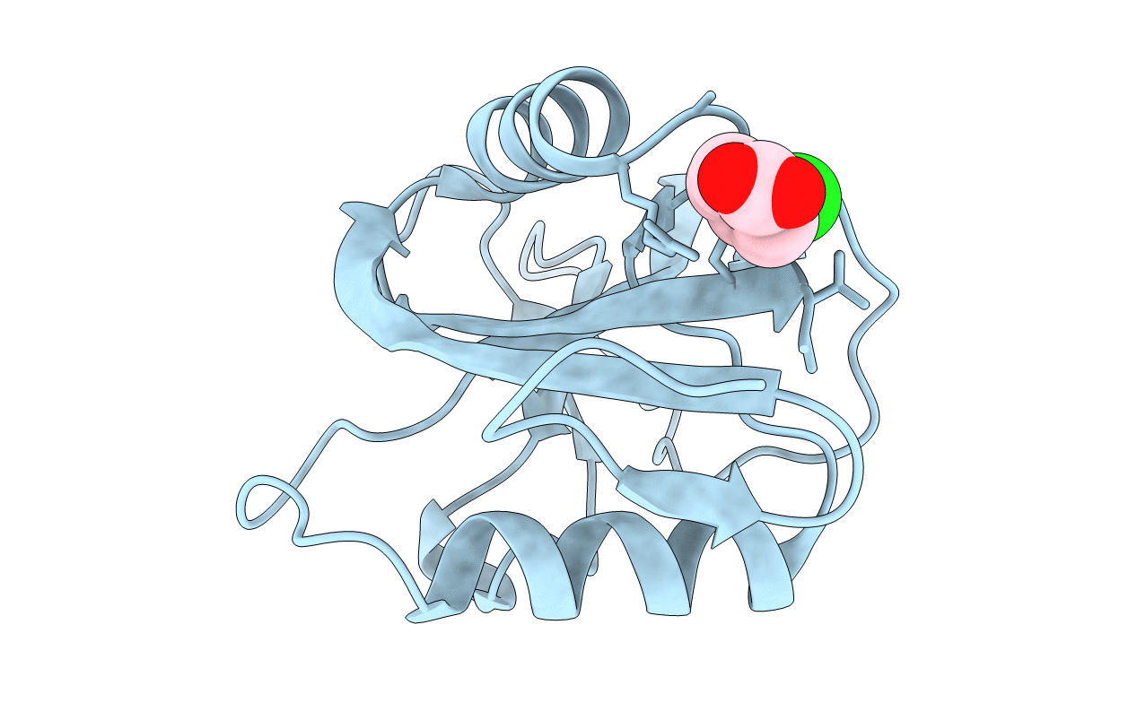 4UXM image