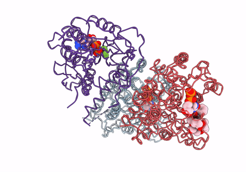 4UXR image
