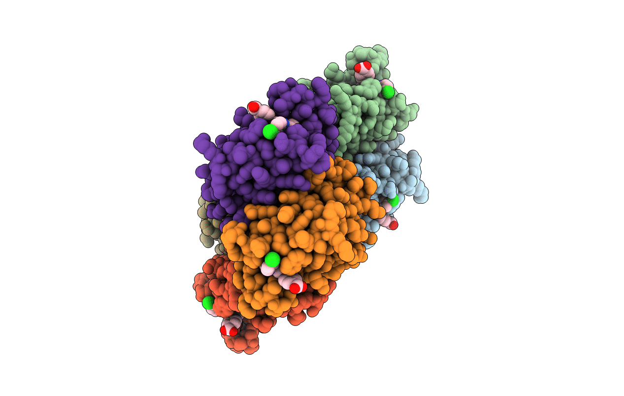 4UYG image