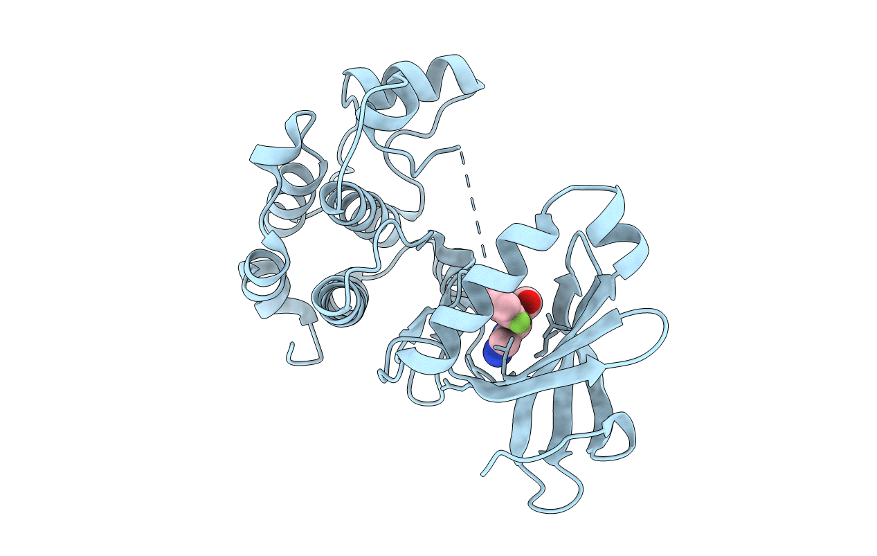 4UZH image