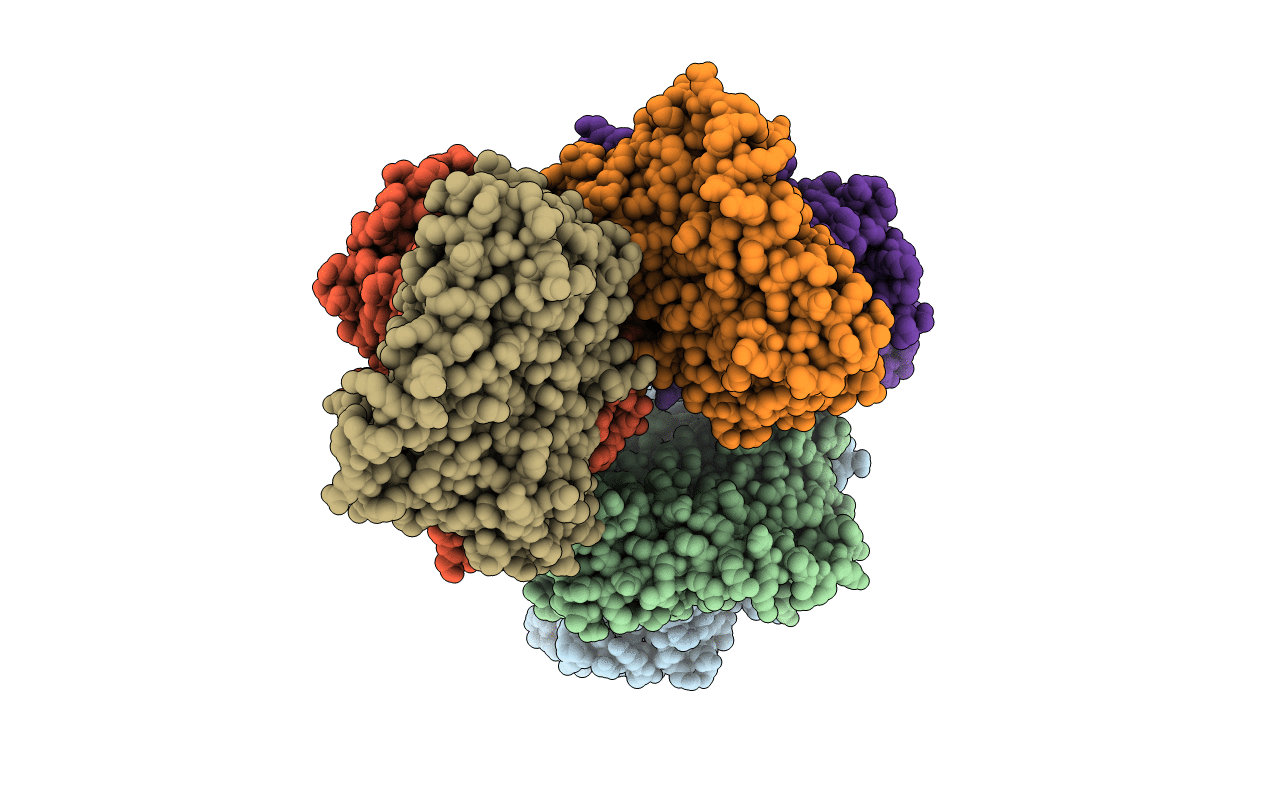4V0J image