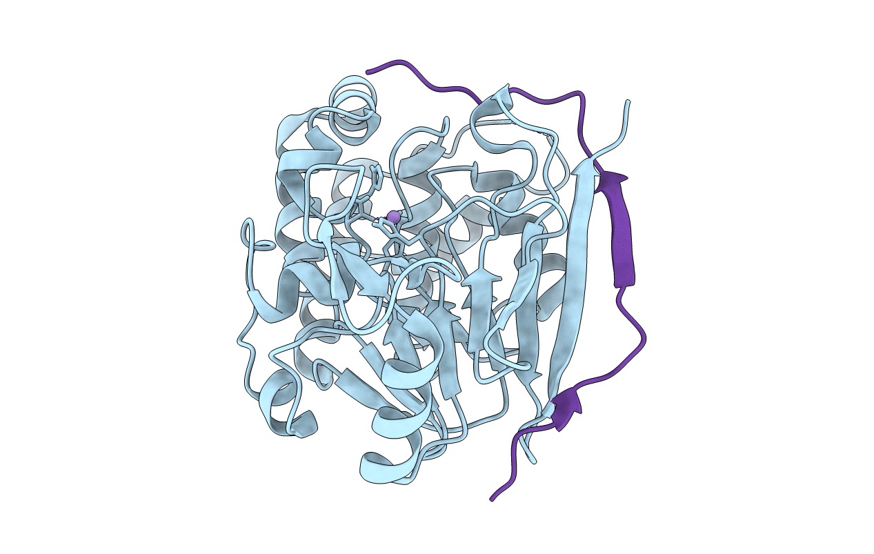 4V0X image