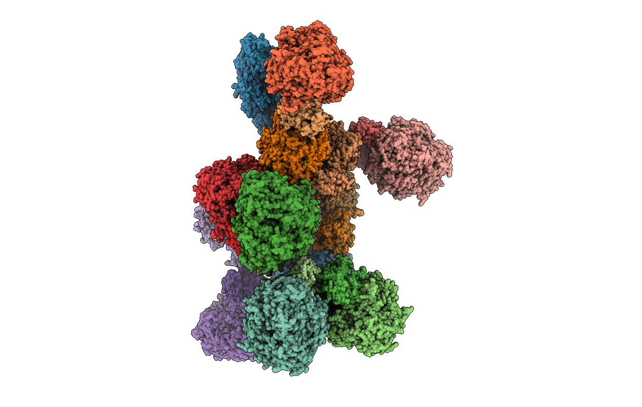 4V4D image