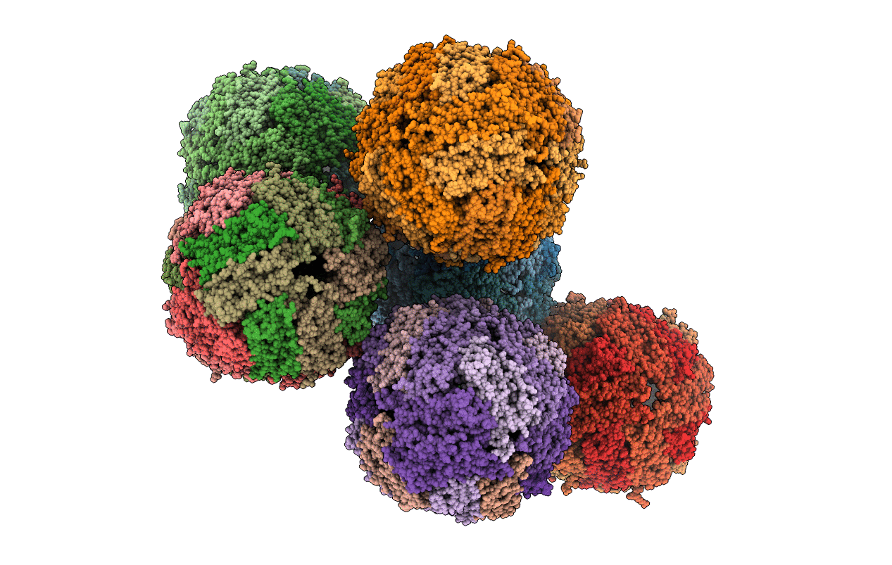 4V6B image