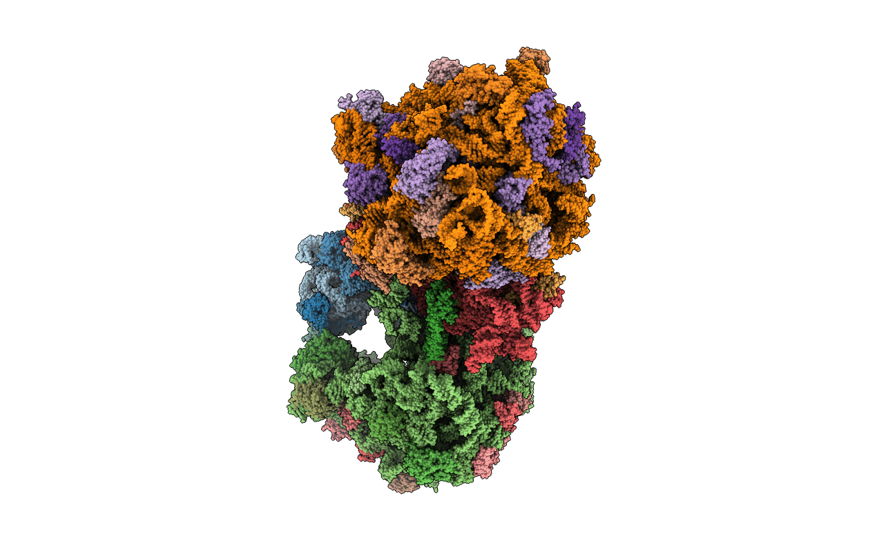 4V7V image
