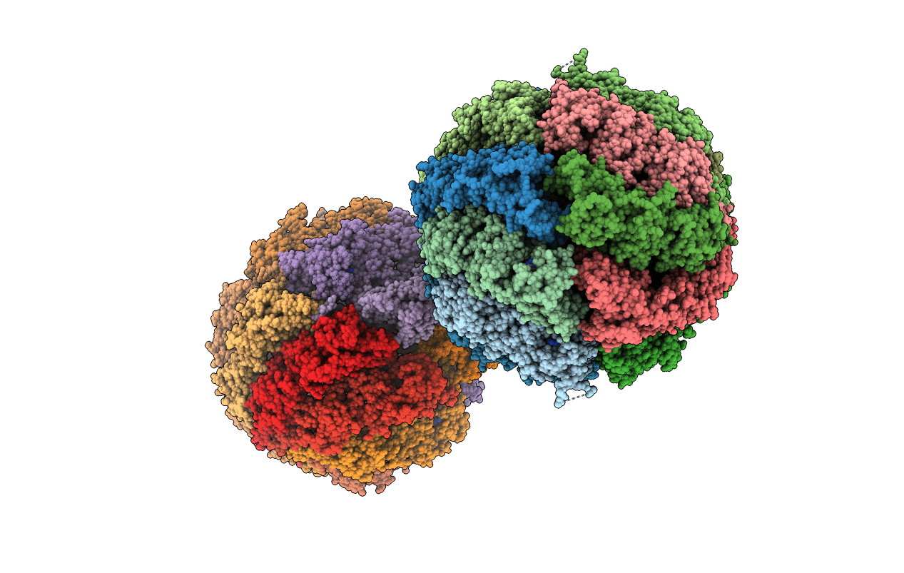 4V81 image