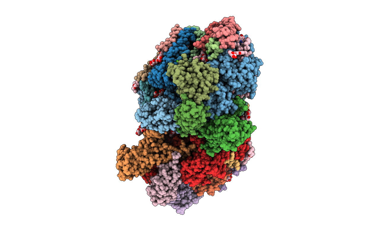 4V82 image