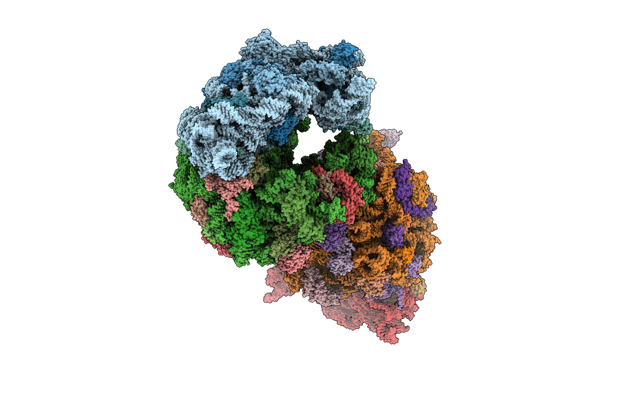 4V8G image