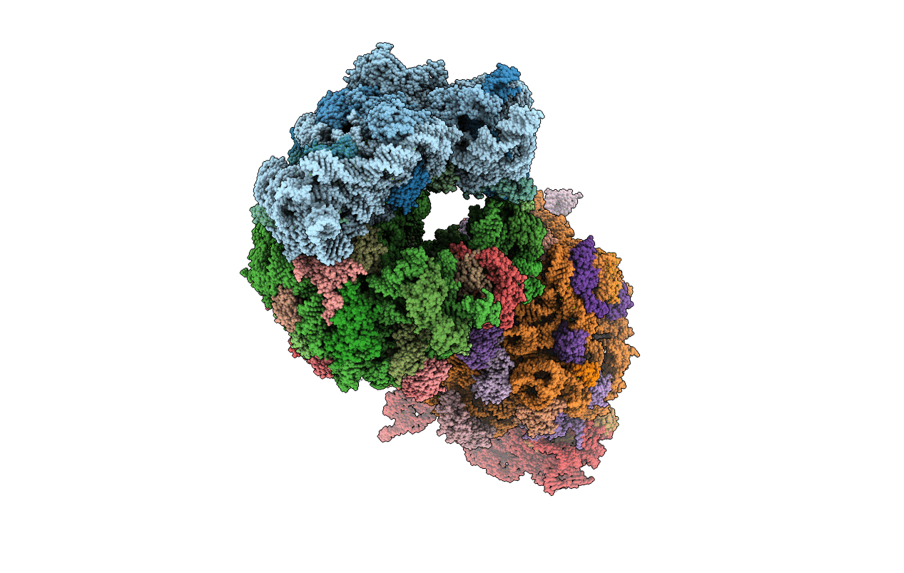 4V8I image