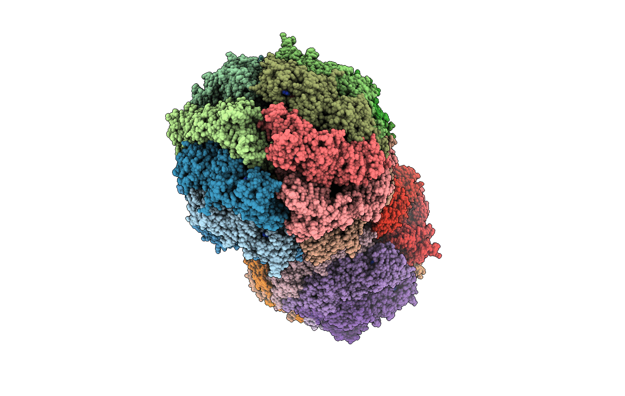 4V8R image