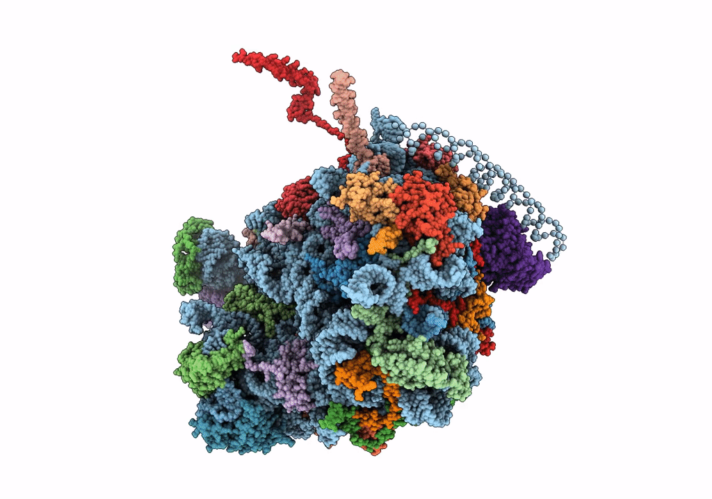 4V8T image