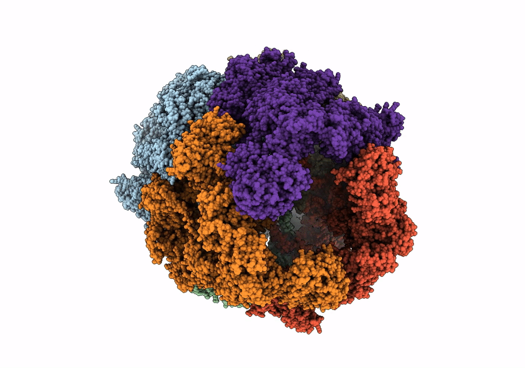 4V8V image
