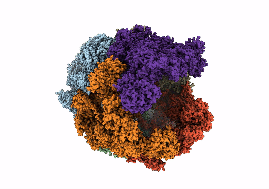 4V8W image