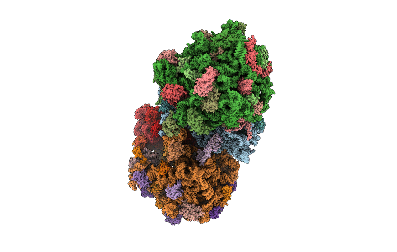 4V8X image