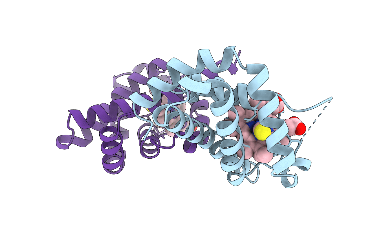 4VHB image