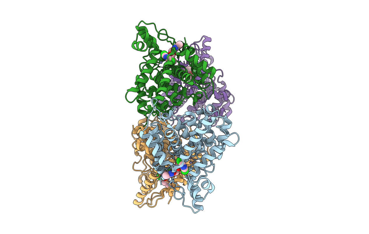 4W1O image
