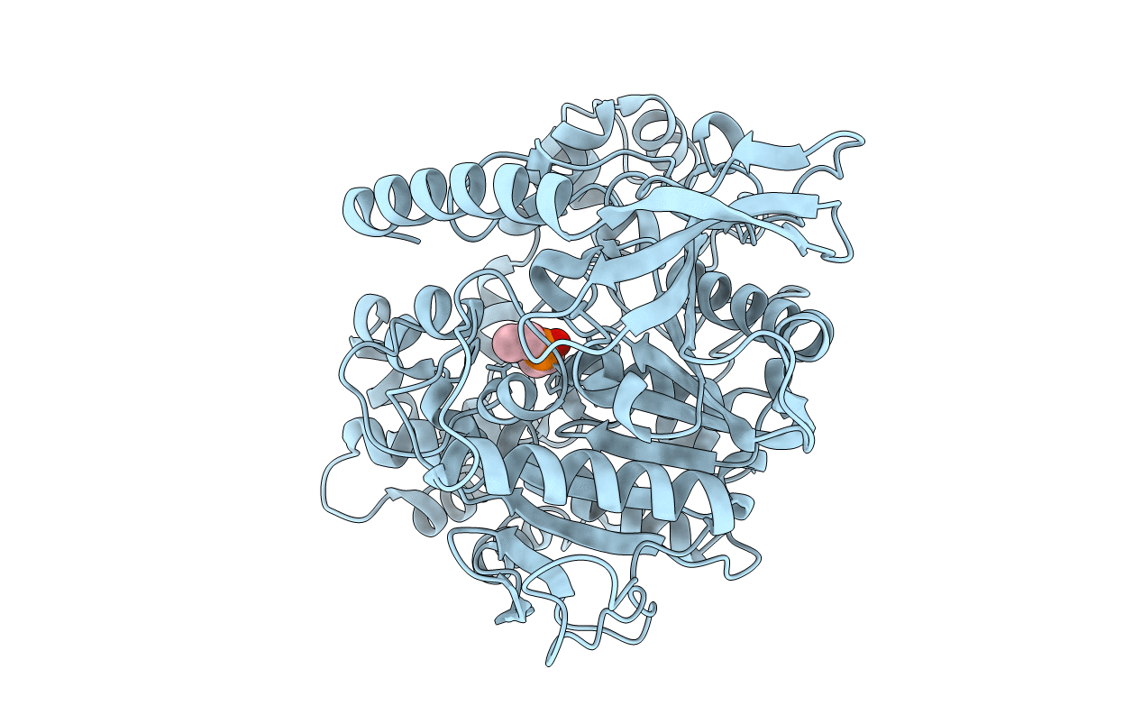 4W1S image