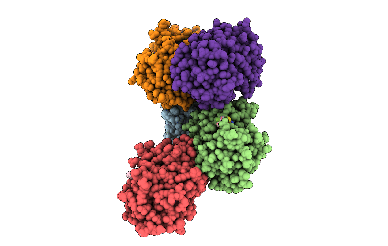 4W5C image
