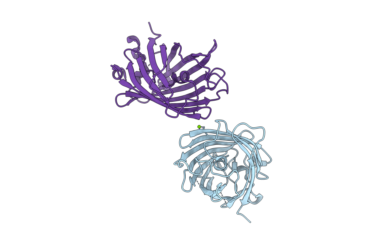 4W6D image