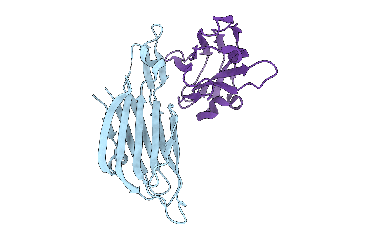 4W6W image