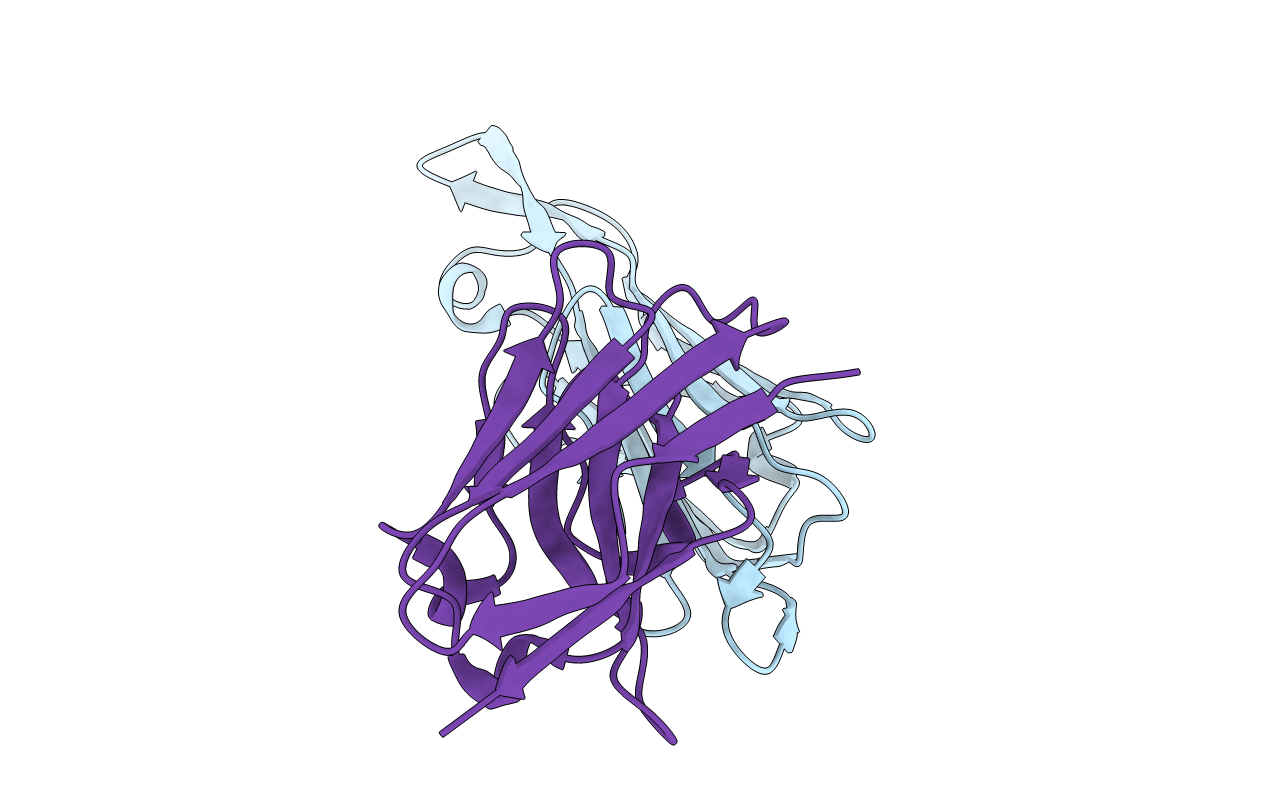 4W6X image
