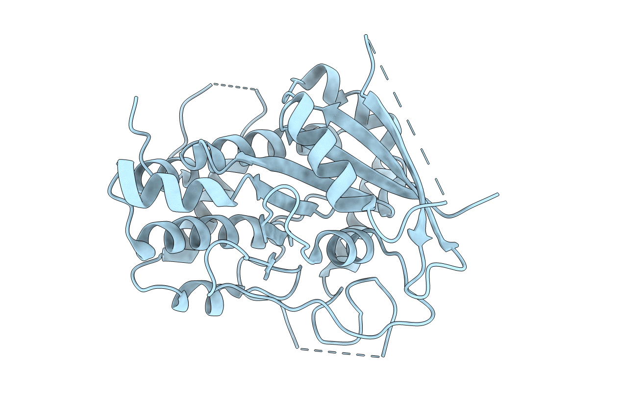 4W7G image