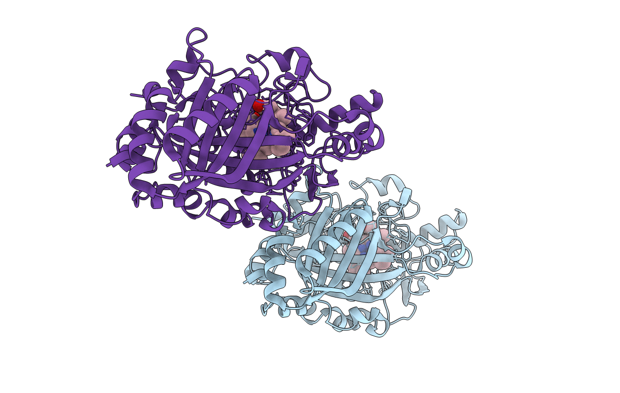 4W7K image