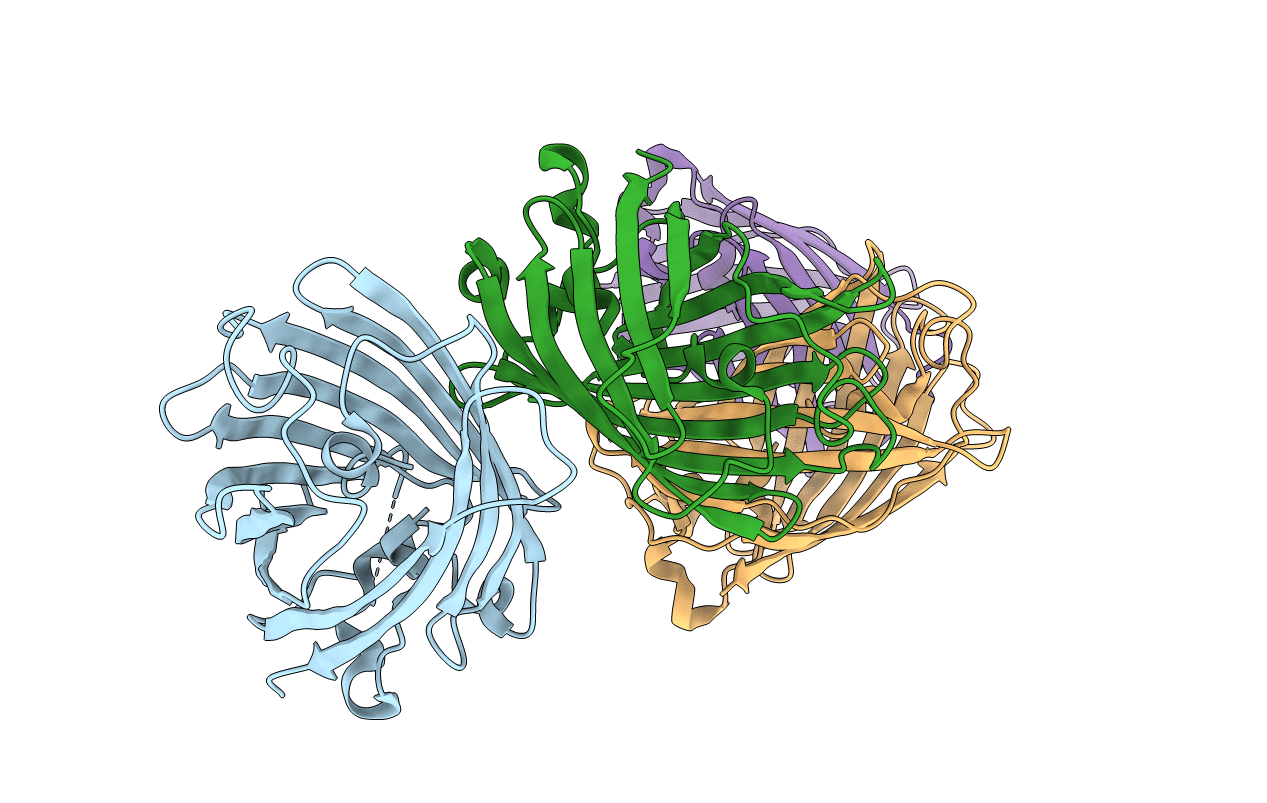4W7X image