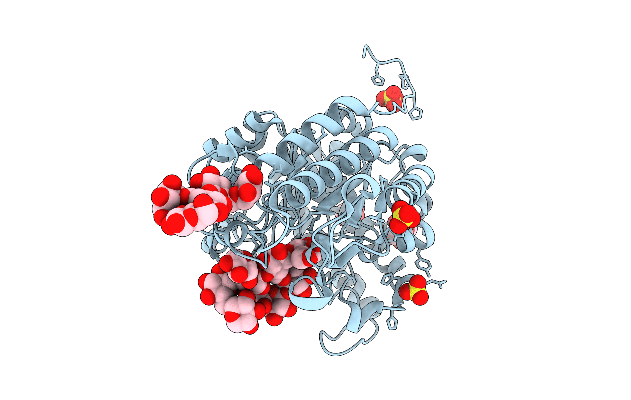 4W8B image