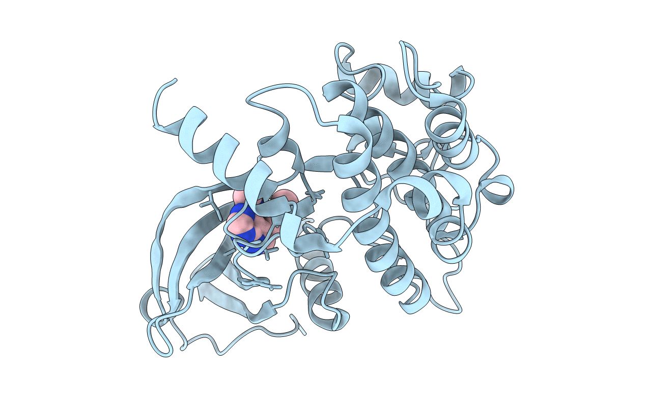 4W8D image