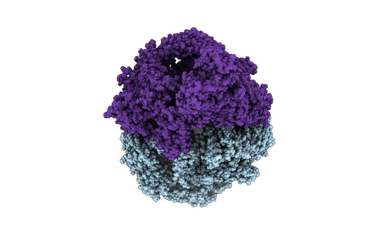4W8F image