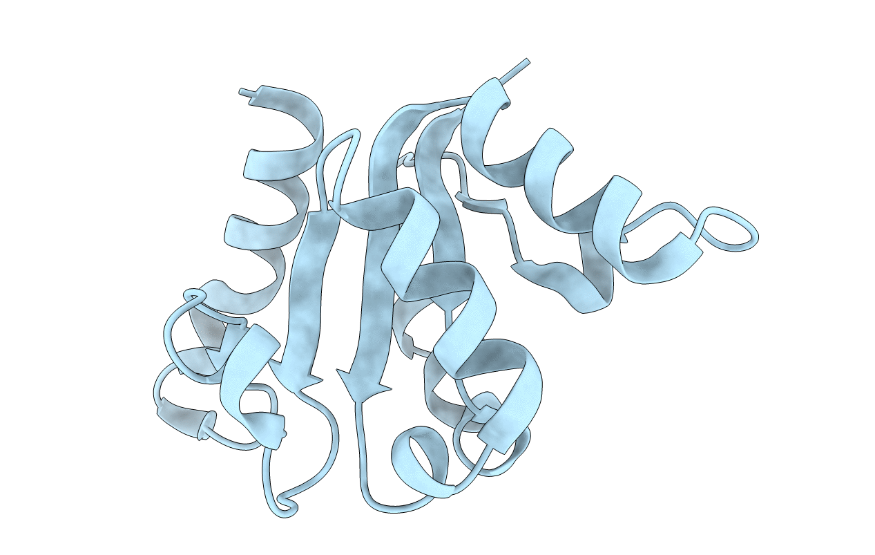 4W8G image