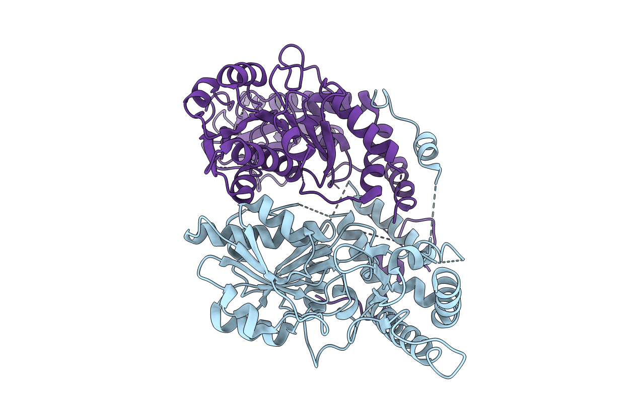 4W8I image