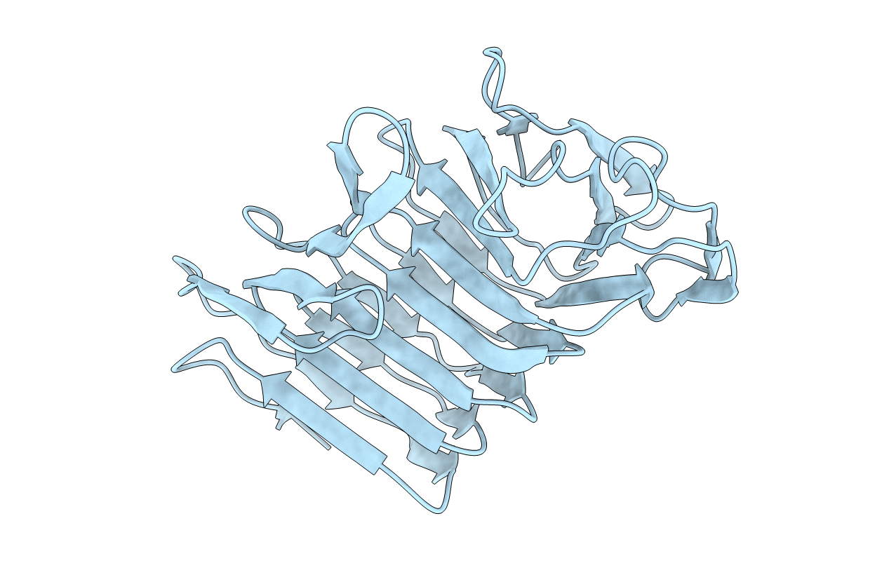 4W8S image