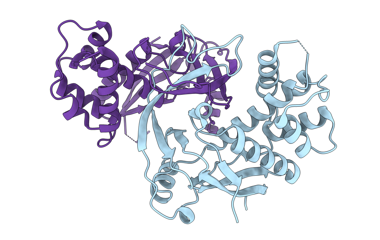 4W8V image