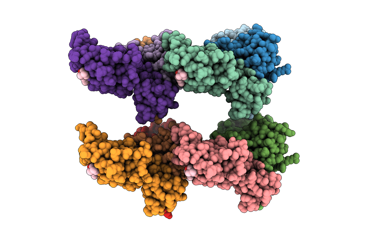 4W9G image