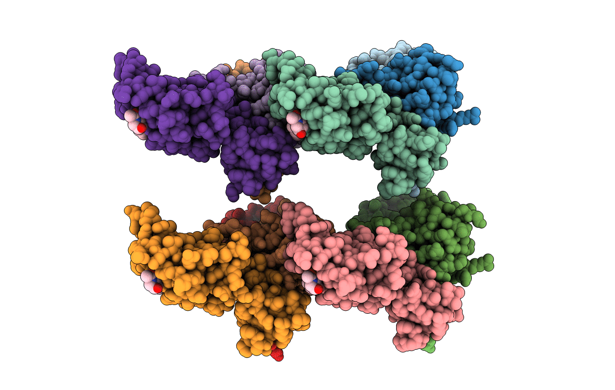 4W9I image