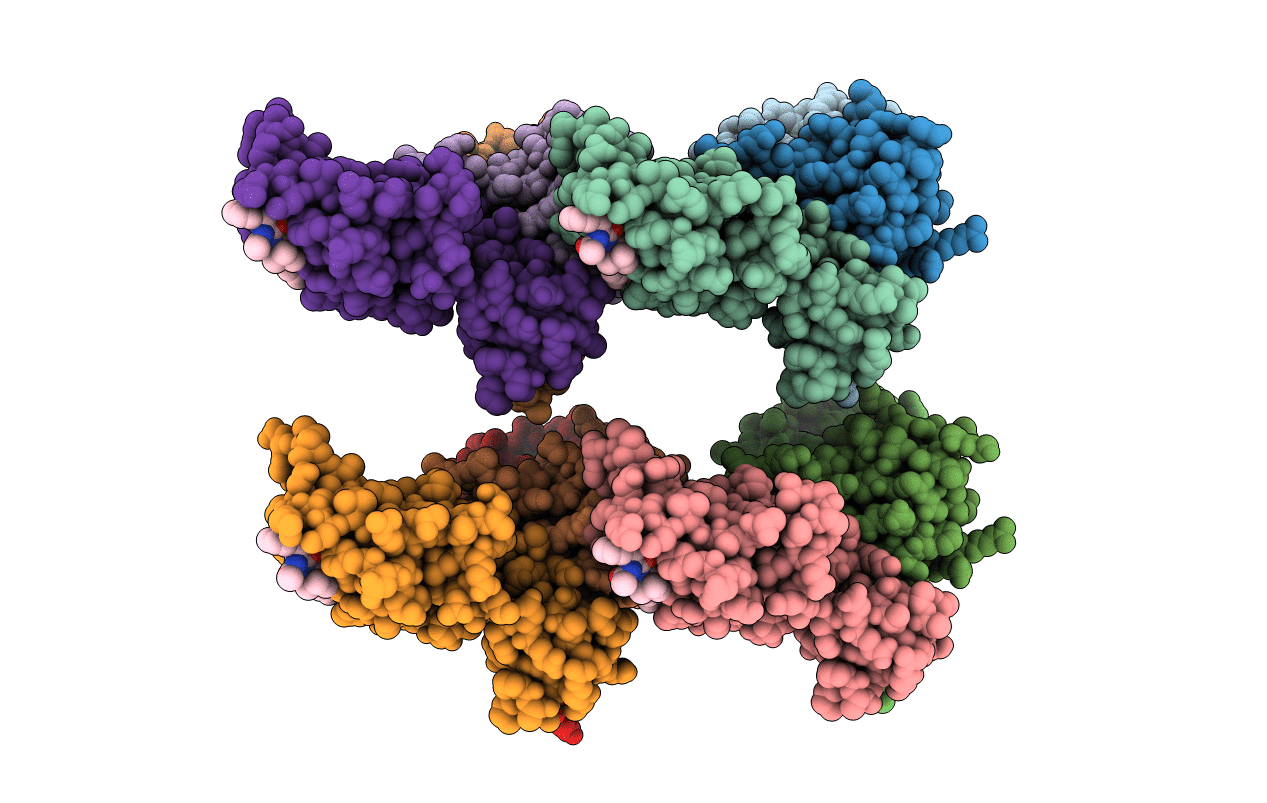 4W9K image